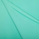 Tissu jersey lourd uni - Vert menthe