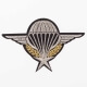 Ecusson air force parachutiste