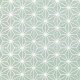 Tissu Coton Enduit étoiles asanoha - Vert céladon & Blanc