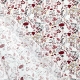 Tissu Popeline Bio fleurs de campagne - Rouge brique