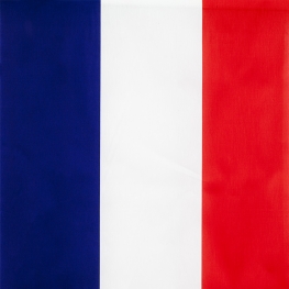 Tissu Drapeau Français - Bleu Blanc Rouge